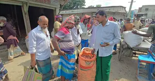 ফরিদপুরে পেঁয়াজের বাম্পার ফলনেও হাসি নেই কৃষকের মুখে